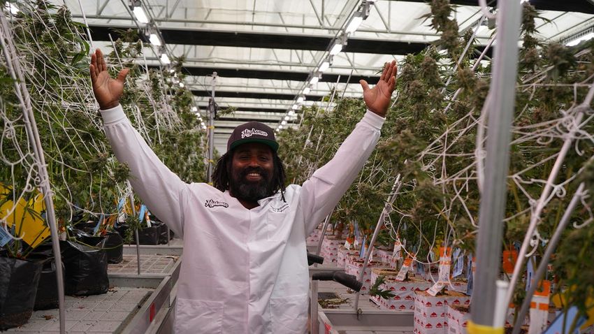  Cannabis Confidential: Ricky Williams talks football, marijuana business – Worcester Mag