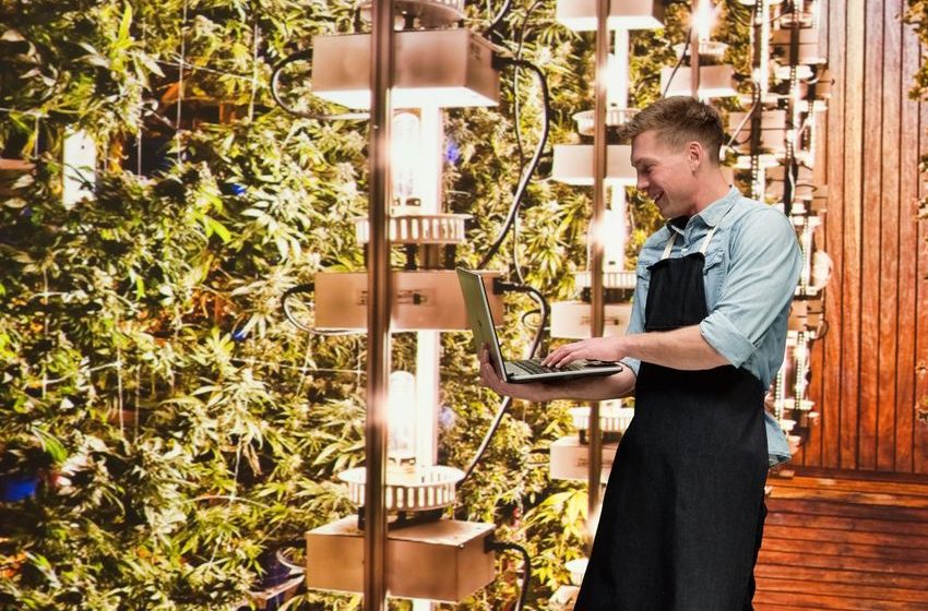 3 Top Cannabis Stocks to Buy in September
