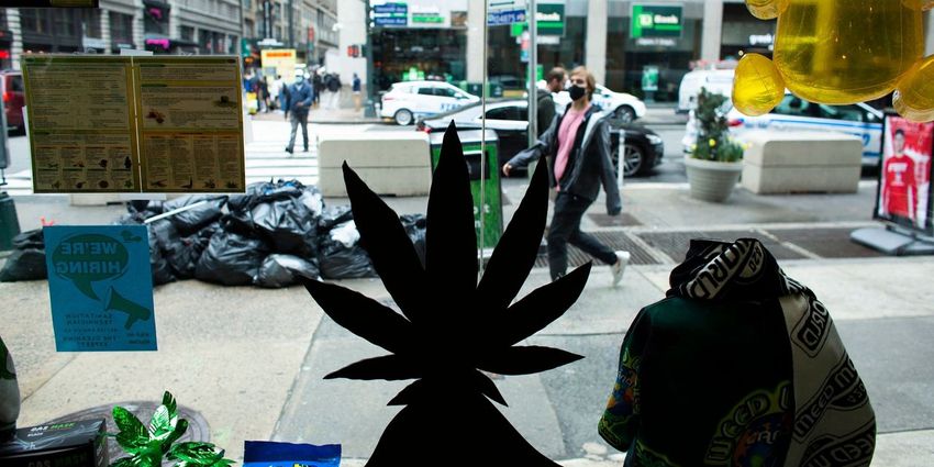  Cannabis Watch: New York poised to award first retail cannabis licenses to drug war casualties instead of big incumbents