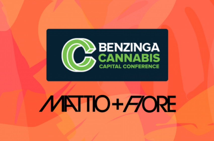  How My Household-Name Cannabis Business Started At The Benzinga Cannabis Conference