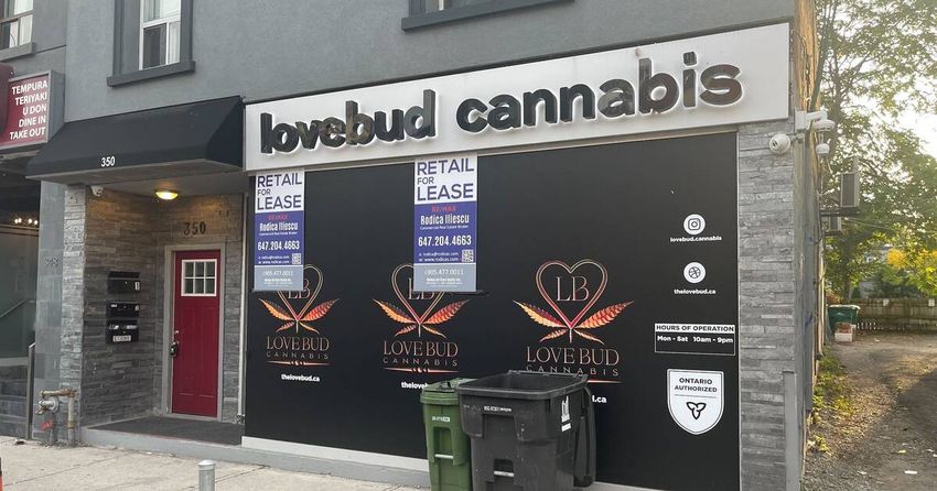 Toronto cannabis store locked out by landlord within months of opening