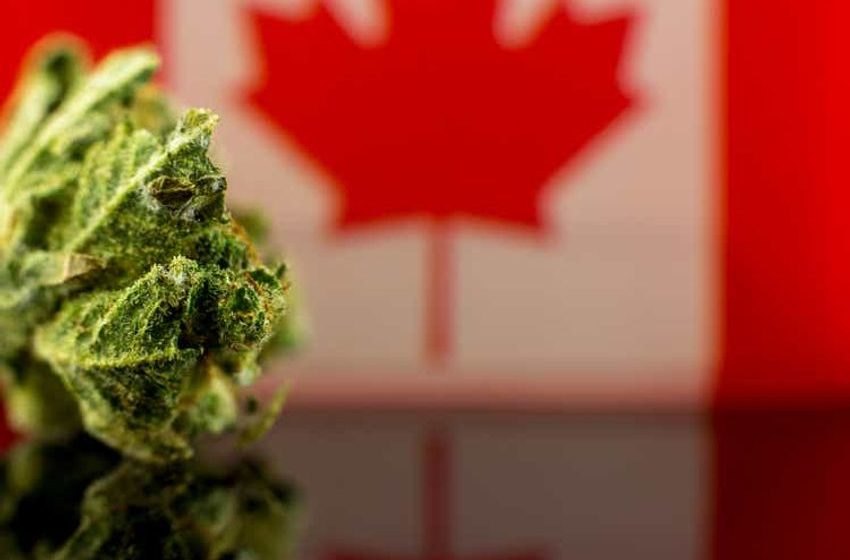  Canada government launching legislative review of Cannabis Act