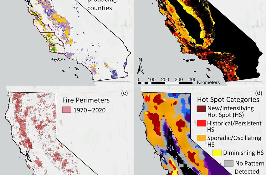  California Wildfires Threaten Nearly All of State’s Cannabis Crops