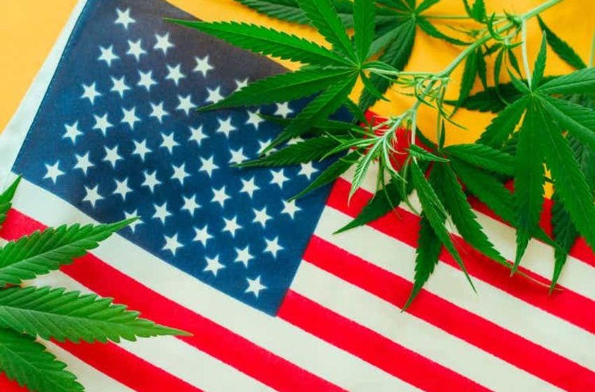  Cannabis legalization wiped off ~$10B market cap in pharma sector – study