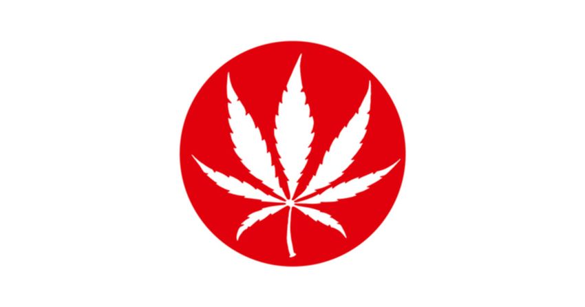 Health Panel Says Japan Should Allow Medical Marijuana