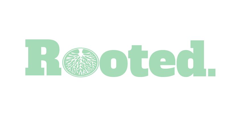  Rooted Group Launches its Cannabis Wholesale Marketplace for the rest of the Industry