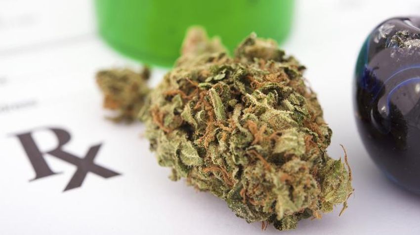  Medical marijuana facility opens for business in Jackson – WJTV