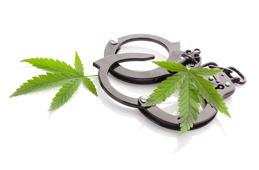Black Minnesotans Nearly 5 Times More Likely To Face Marijuana Charges Than White Ones