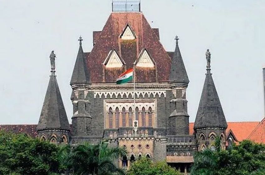  Cannabis plant without flowering or fruiting tops not ‘ganja’: Bombay HC