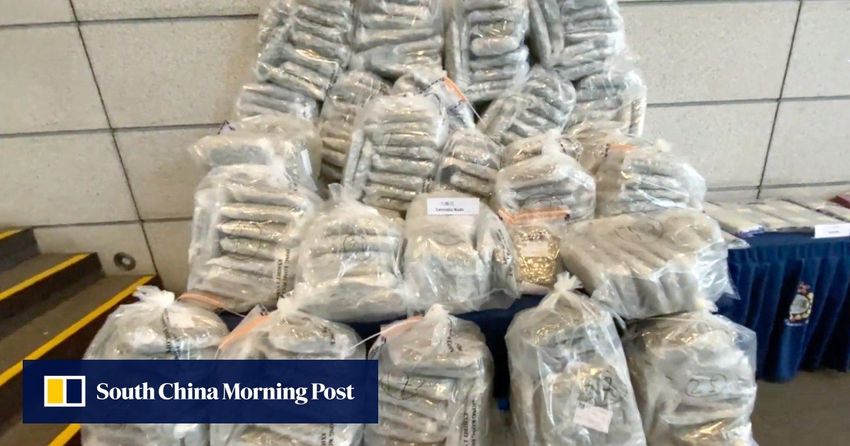  Hong Kong police arrest 2, seize HK$42 million in cannabis buds and cocaine in separate raids