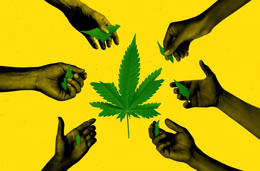  Black Business Groups, Unions Split Over Cannabis Equity Task Force