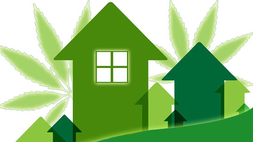  Analysis: Legal Cannabis Businesses Associated with Increased Home Values