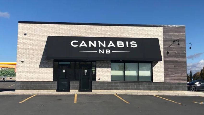  Cannabis N.B. plans 10 privately run stores aimed at reducing black market