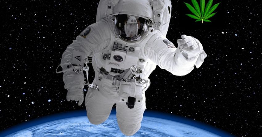  Houston, We Have a Cannabis Problem