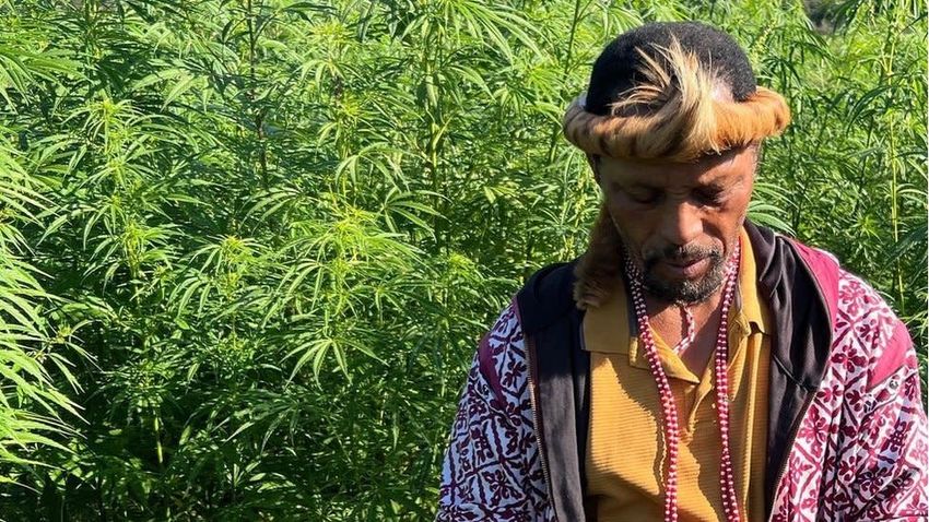  Pondoland: South Africa’s cannabis growers left behind by legalisation plans