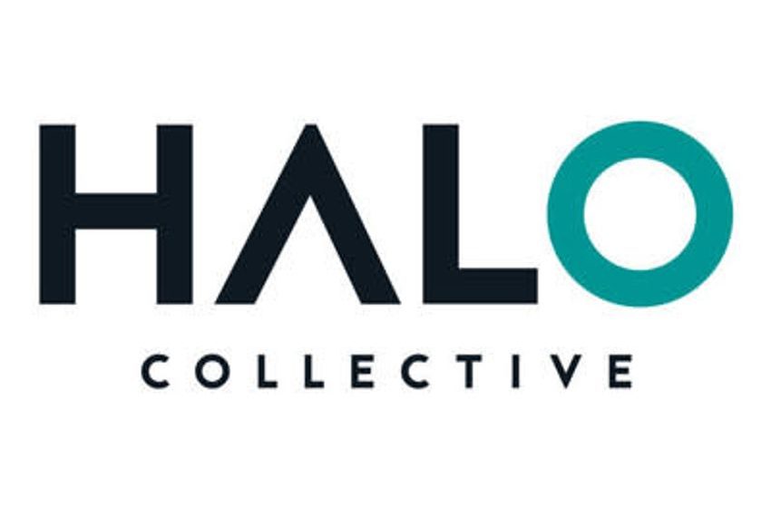  Halo Announces Share Consolidation