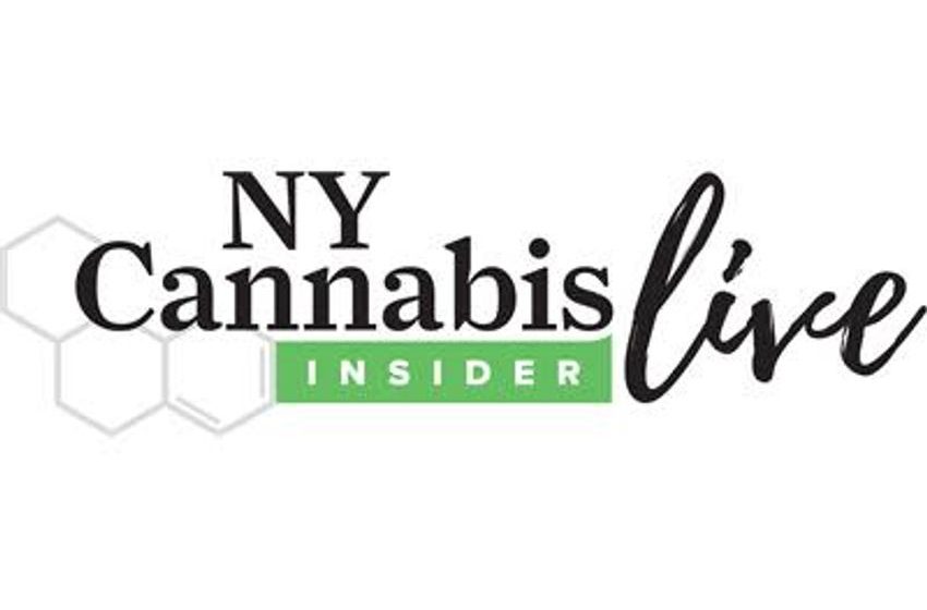  Network With Cannabis Industry Professionals at the November 4 Full-Day Conference