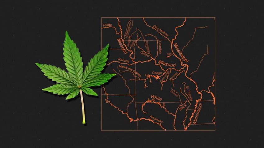  Missouri Libertarian Party Declines To Endorse Marijuana Legalization Initiative