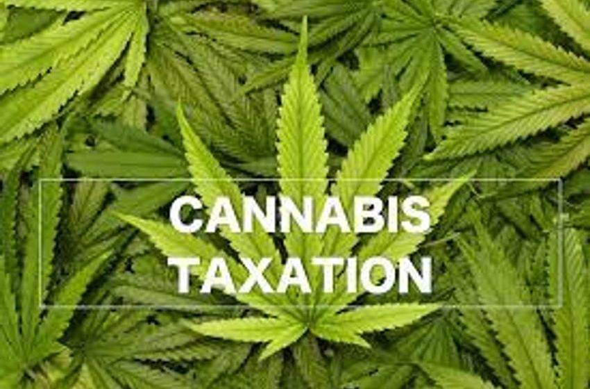  Taxation of Cannabis Impedes Growth