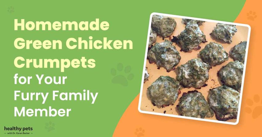  Homemade Green Chicken Crumpets for Your Furry Family Member