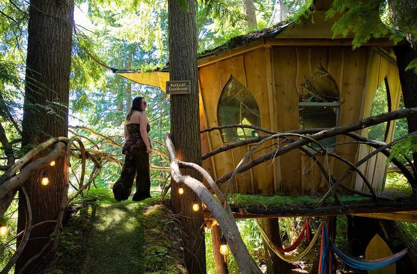  This B&B (bud and bong) is a stoner’s forest paradise Relax and spark up at this cannabis-friendly treehouse BB in the woods [Spiffy]
