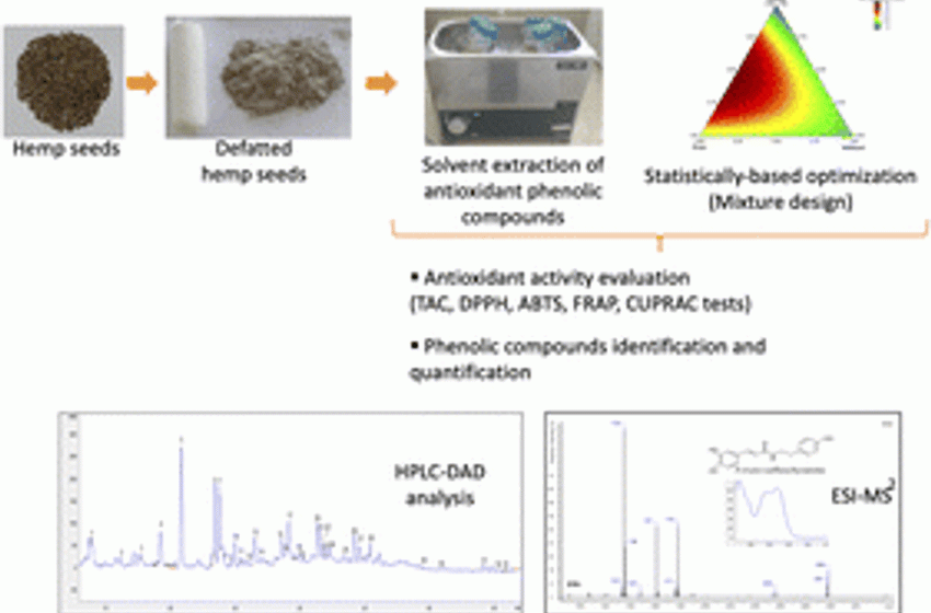  Bioactive compounds from hemp (Cannabis sativa L.) seeds: optimization of phenolic antioxidant extraction using simplex lattice mixture design and HPLC-DAD/ESI-MS2 analysis