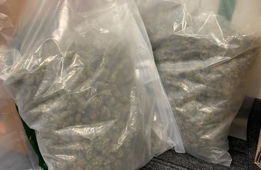  PSNI arrest man and seize €34k of cannabis in UVF drug dealing investigation