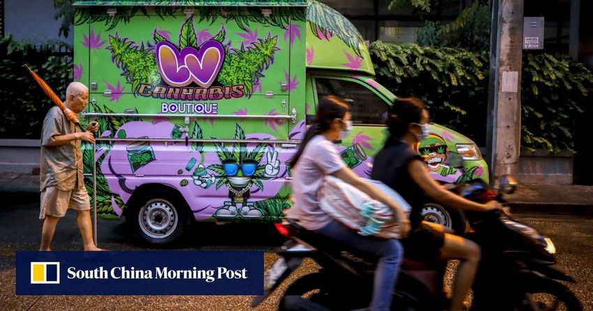  Thailand’s cannabis bill dealt a blow after bigger parties demand changes citing misuse fears