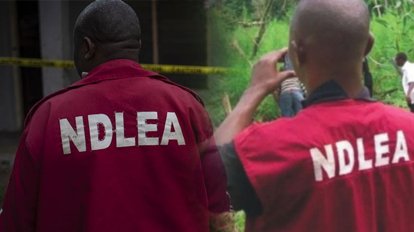  NDLEA arrests pregnant lady, others for drug possession
