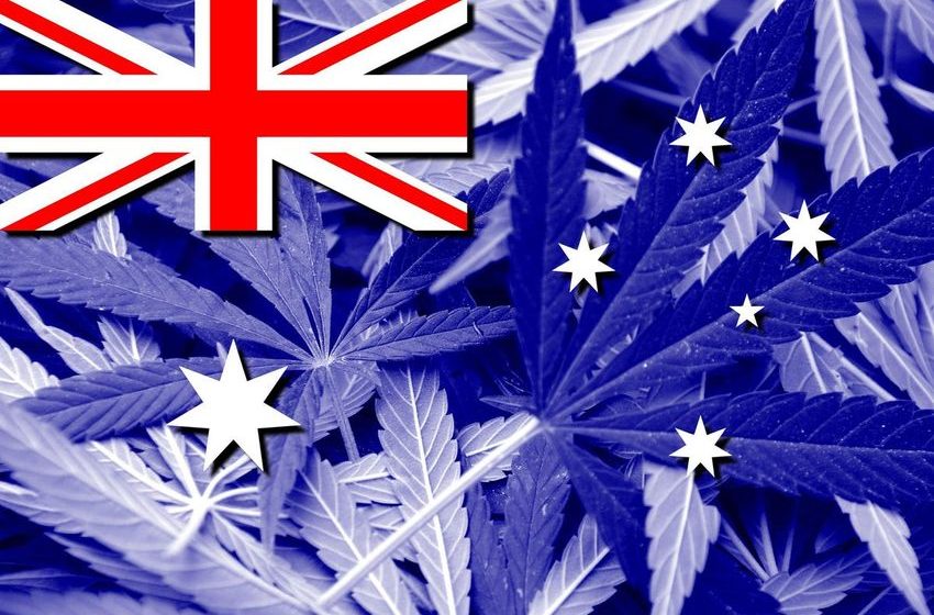  Australian Greens Aim To Legalize Recreational Cannabis By 2023