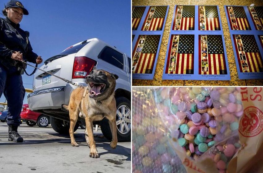  How to fight the Mexican and Chinese fentanyl cartels driving biggest money laundering scheme in history