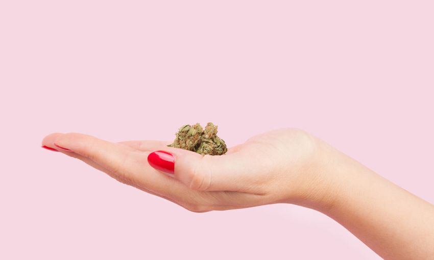 7 Best Marijuana Strains For Overall Good Health And Disease Prevention