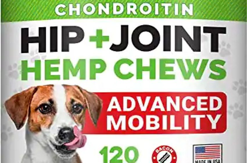  Hemp Treats – Glucosamine Dog Joint Supplement + Omega 3 $28.89