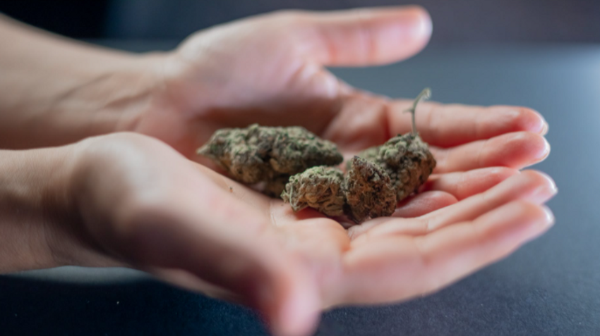  Cannabis Act review: Pot sector wants financial relief