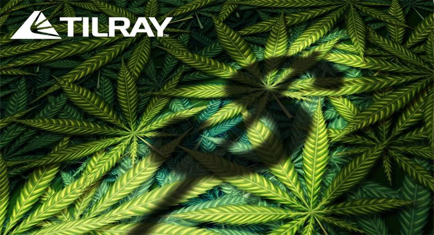  Tilray Lost Money in 2022, But 2023 Might Be Different, Says Analyst