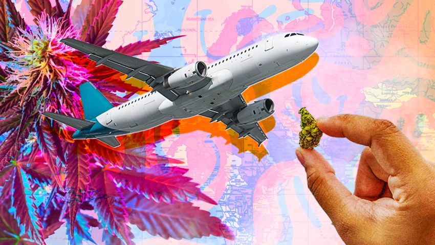  An In-Depth Guide To Traveling With Weed In The United States And Abroad