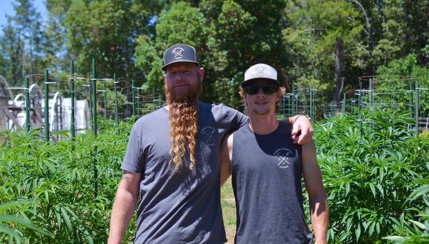  Canna Country Farms On Preserving Humboldt Genetics For The Next Generation