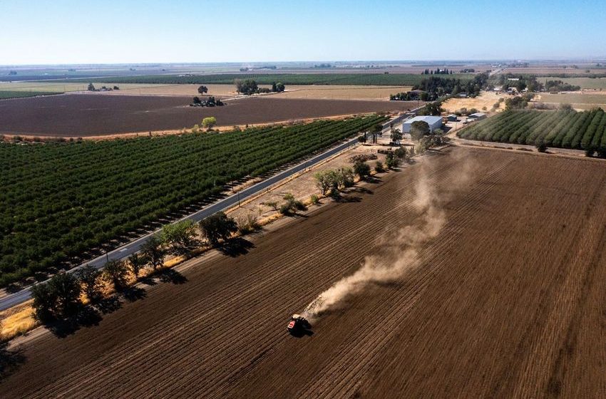  Climate Change Raises New Challenges for Marijuana Farmers