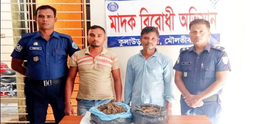  2 drug peddlers held with hemp in Moulvibazar