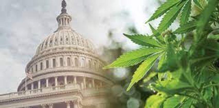  The Federal Government and Cannabis