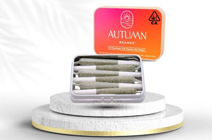  Sustainable Cannabis Packaging – Autumn Brands Launched New Branding and Sustainable Packaging (TrendHunter.com)