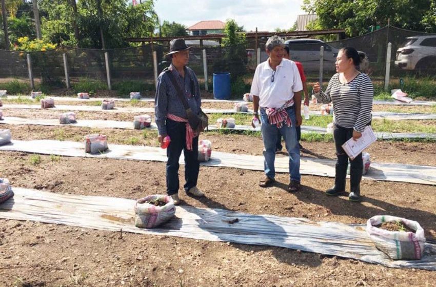 Lack of rules hits farmers