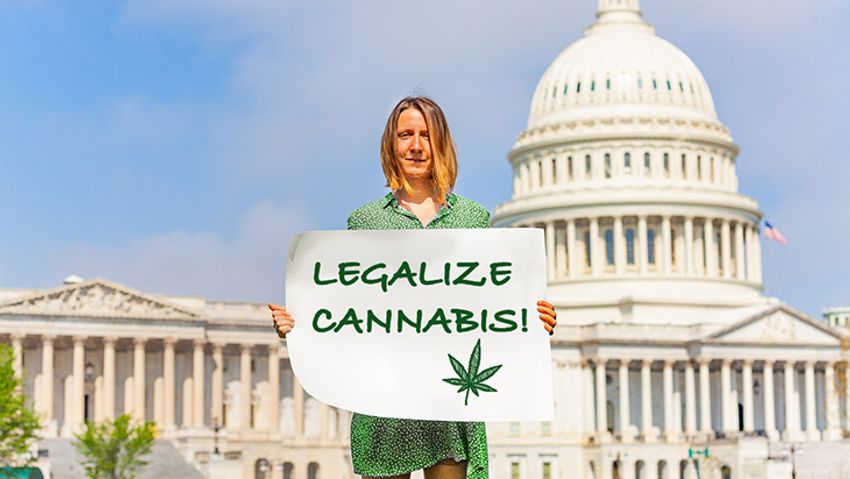  Poll: Three in Five Voters Say “Marijuana Should Be Legal Nationwide”