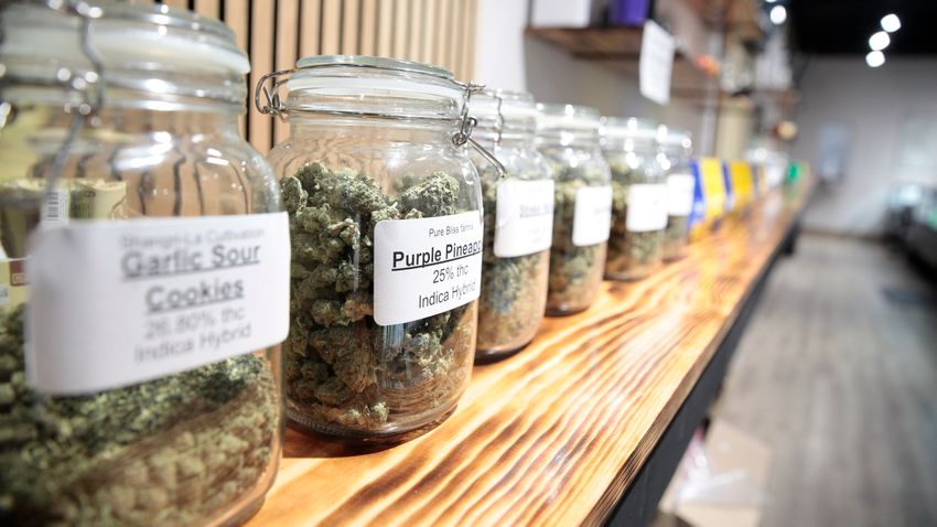  Voters in some of the most conservative states to weigh in on recreational pot