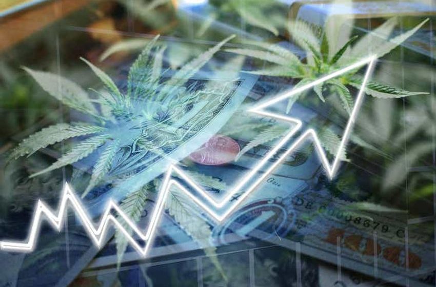 Cannabis stocks on the rise following Canopy Growth, Acreage deal
