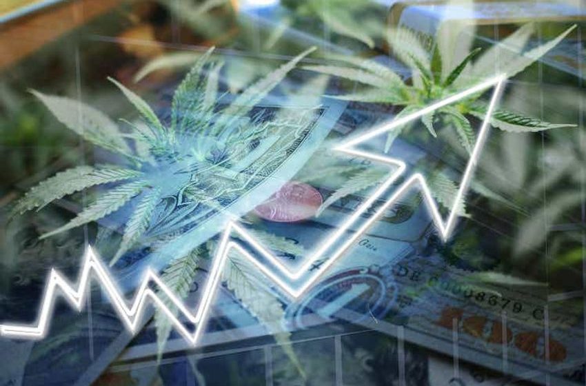  Cannabis stocks on the rise following Canopy Growth, Acreage deal