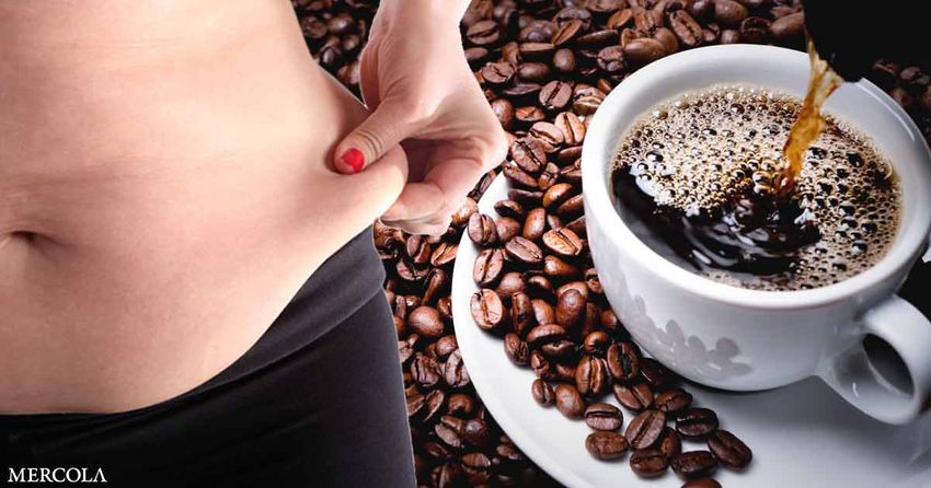  Why Coffee Affects Metabolism