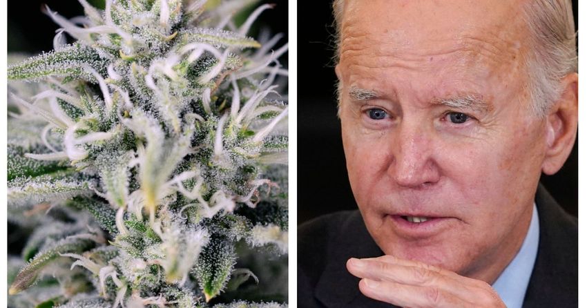  Twitter Lights Up With Jokes Over Biden’s Big Cannabis News