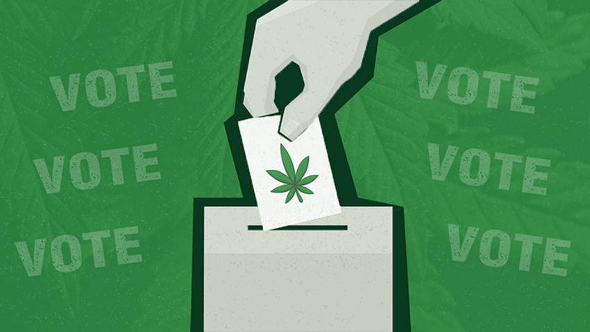  Millions of Americans to Cast Votes for Marijuana Legalization on Election Day