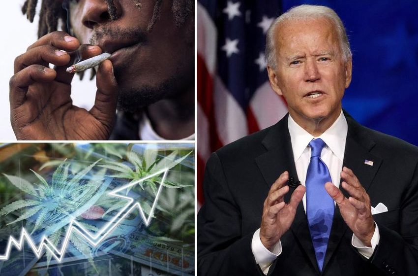 Marijuana stocks surge after Biden pardons weed offenders